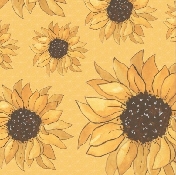 Meet your Posher, Kadi - Picture 1 of 1